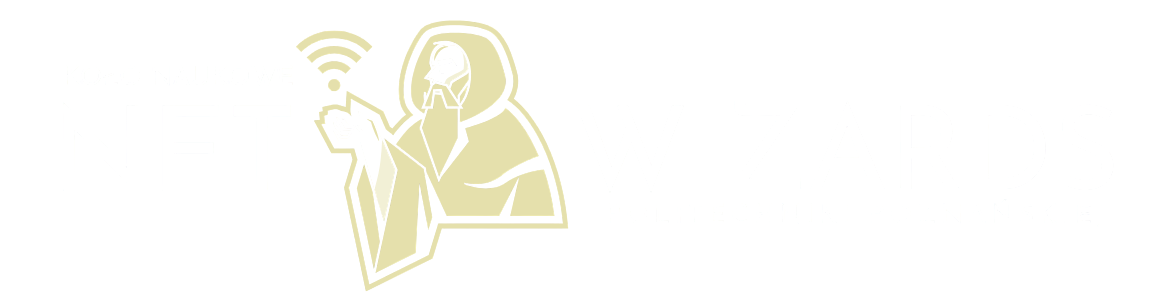 NetWizards-poziom-jasne (1)