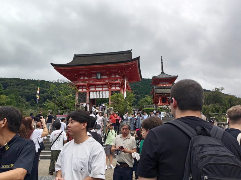 oplus_136314880